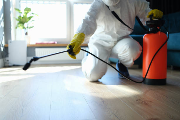 Reliable Infectious Disease Decontamination contractor in Nixon, NV by Crime Scene Cleaner Online